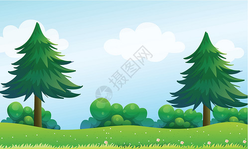 山顶的松树绿色树叶绘画杂草天空风景资源山坡白色树木背景图片