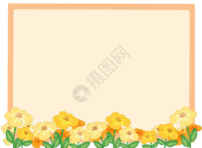 鲜和浅橙色板背景图片