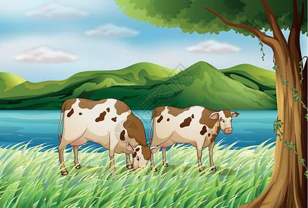牛奶河一头牛和美丽的风景插画