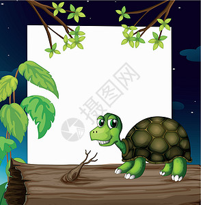 日志木材木头上方的乌龟 后面有空板子设计图片