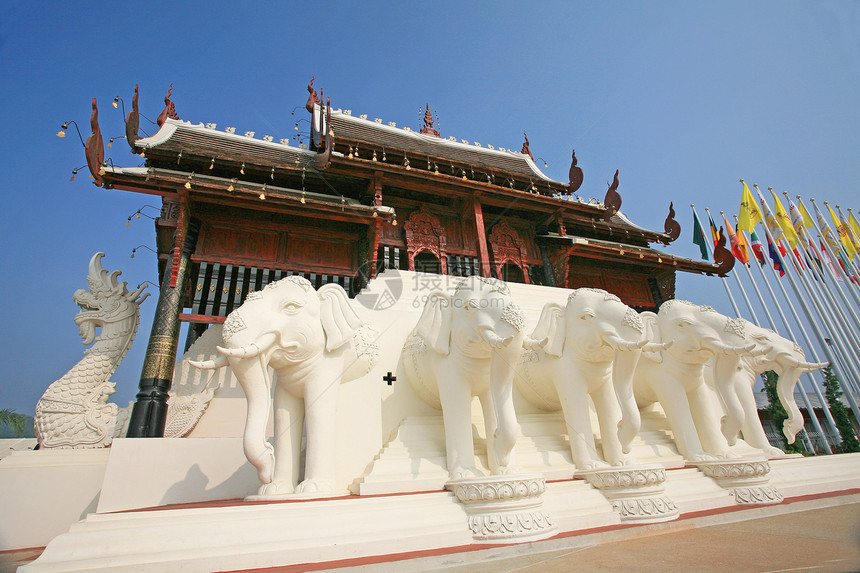 白土豆大象在皇家植物博览会中的雕塑业 Chaingma旅行建筑奢华花园艺术热带植物群纪念碑地标历史图片