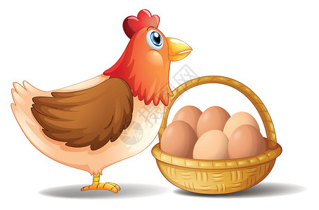 受精蛋母鸡蛋母母鸡和一篮蛋插画