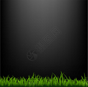 黑色带草的黑背景背景图片