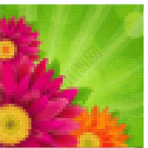 卡伦格丹花花卡花瓣边界雏菊季节生长植物学生活卡片植物橙子设计图片