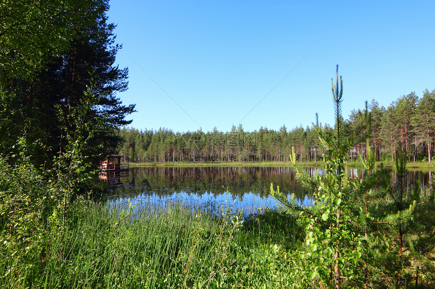 森林湖蓝色木头乡村支撑反射海岸线国家天空栖息地娱乐图片