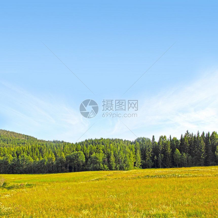 田地和山山的景观季节地平线阳光天空农场生长草原土地农业爬坡图片