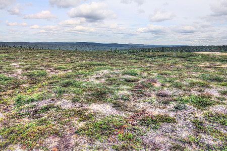 瑞典风景Tundra 景观国家森林全景人行道地面地平线爬坡石头高地公园背景