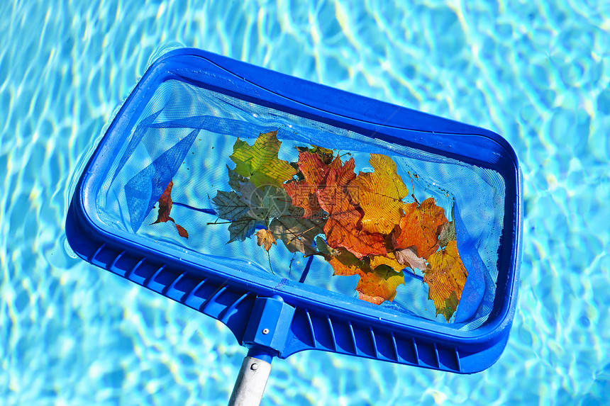 游泳池清洗树叶图片
