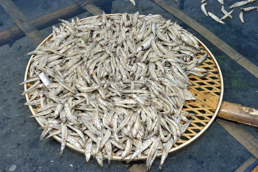 小鱼 太阳晒干钓鱼海鲜市场宏观生产美食黄色盐渍团体食物图片