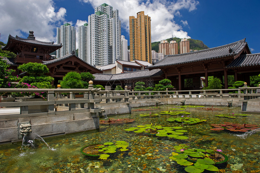 唐朝式中国寺庙 香港锦鲤人行道院子鲤鱼佛教徒尼姑庵王朝石头文化池塘图片