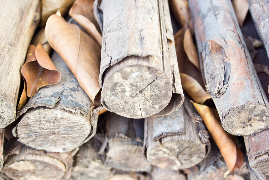 木柴堆记录木头燃料林业建造库存环境资源松树硬木图片