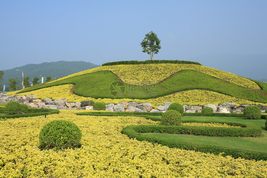 泰国清迈皇家植物博览会建筑奢华池塘纪念碑文化贵族建筑学花园地标旅游图片