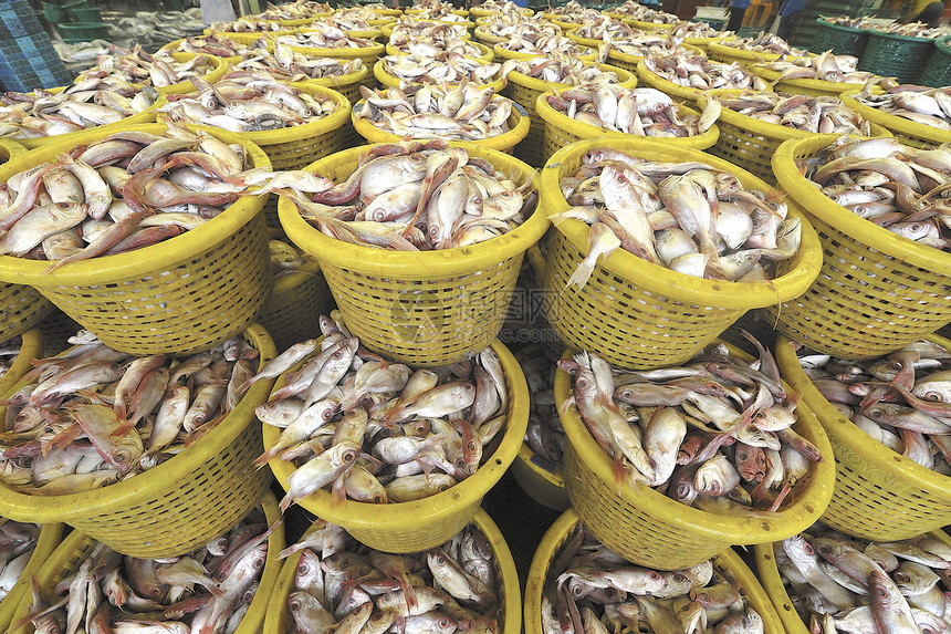 泰国Talaythai海鲜鱼市场粉色生活食物销售健康店铺低音红色图片