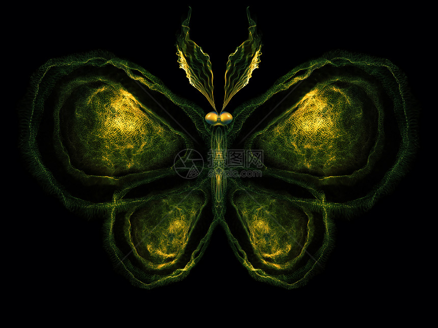 蝴蝶概念数学科学奉承插图几何野生动物昆虫昆虫学森林翅膀图片