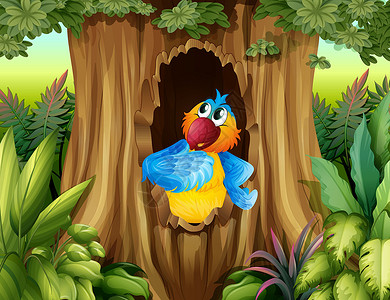 树洞中的鹦鹉背景图片