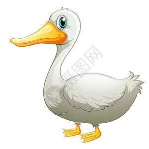 白鸭动物鸭子艺术尾巴小鸭子小鸡脖子两条腿鸟类白色高清图片