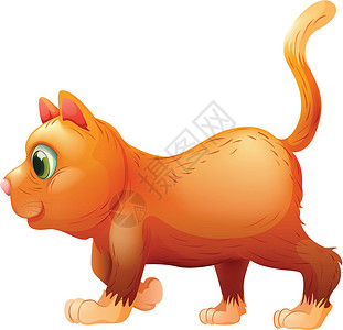 站立的猫一只肥猫的侧面设计图片