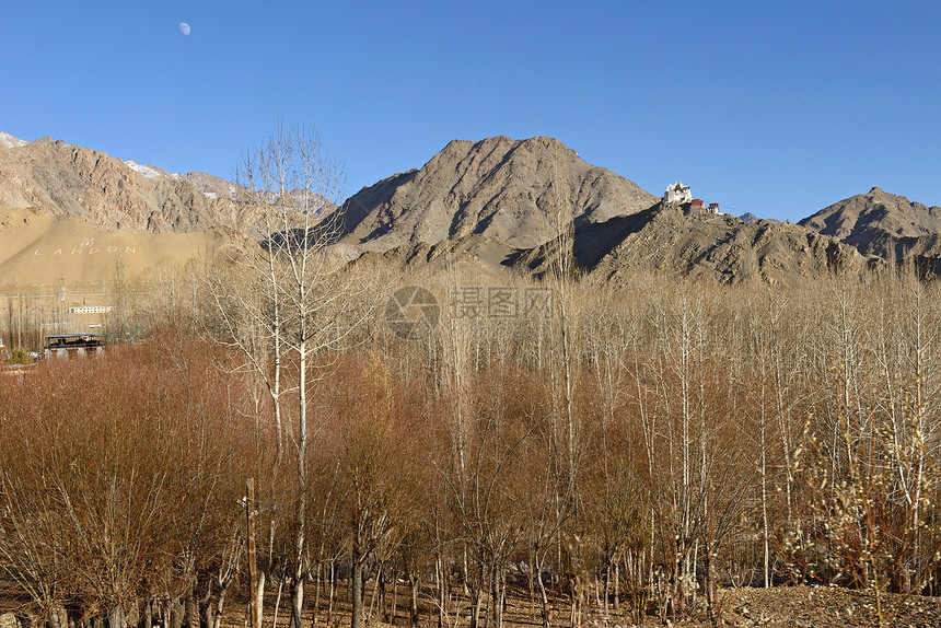 印度拉达赫(Ladakh)图片