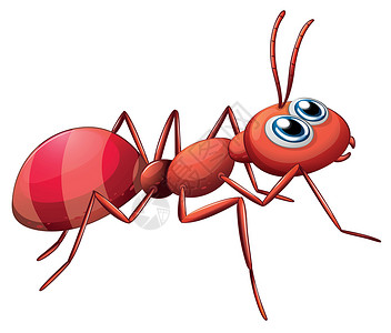 试探一只大蚂蚁爬来爬去插画
