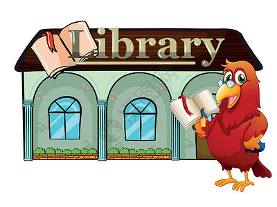 一个在图书馆外藏书的鹦鹉插画