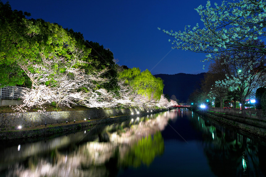 比瓦湖运河 有sakura树季节天际公园建筑学花园园艺运河花瓣琵琶池塘图片