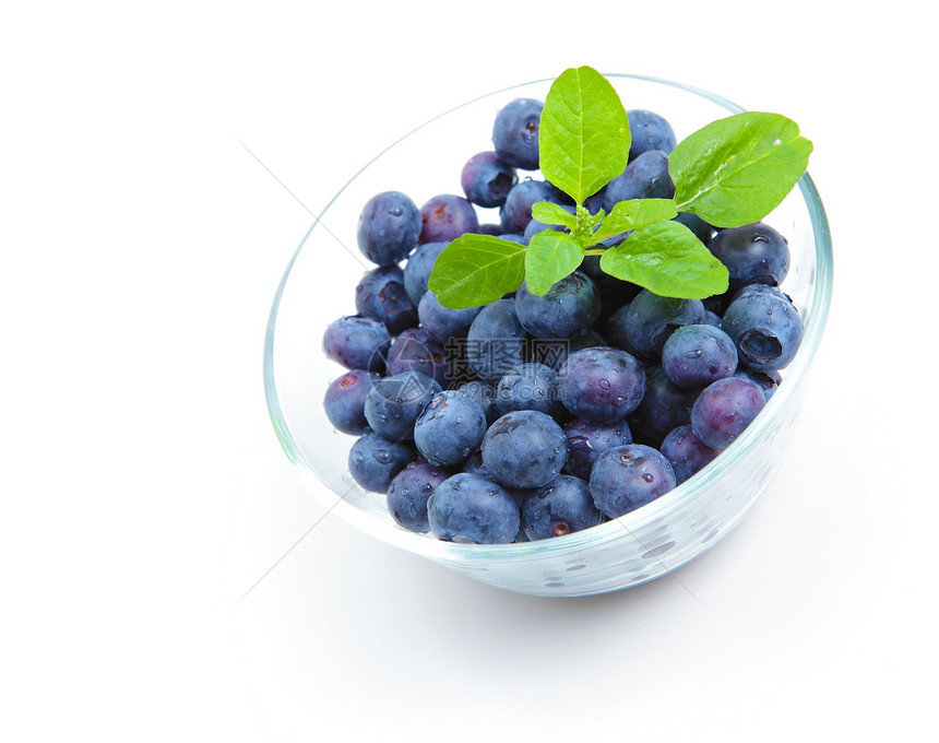 蓝莓在碗中的碗市场农民浆果团体水果叶子蓝色食物白色农业图片