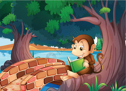 一只猴子在桥附近的大树下读一本书高清图片