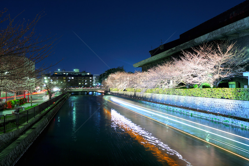 夜里在京都有樱桃湖图片