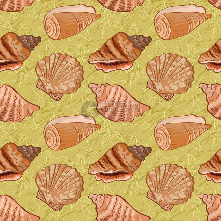 无缝背景 贝壳海滨海岸艺术扇贝装饰品墙纸水族馆织物海洋生活图片