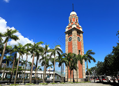 高树ps素材香港的时钟塔历史性天际旅行时间地标棕榈建筑历史蓝色古董背景