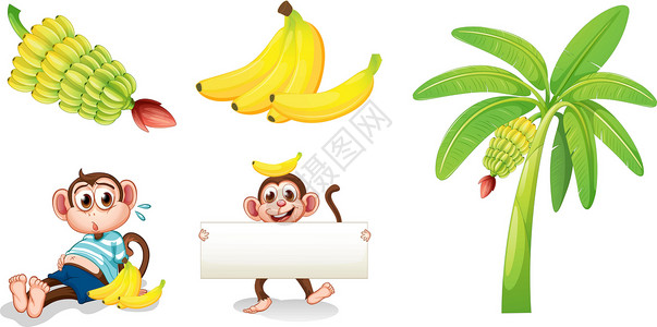 手持指示牌香蕉和猴子 手持空标牌插画
