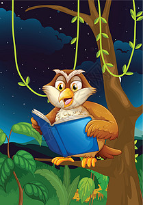 森林图书馆书猫头鹰阅读天空森林故事小说绘画木头植物树木评书故事书插画