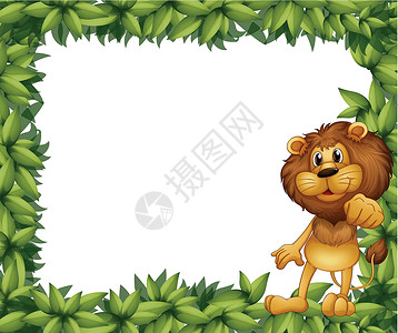 绿叶框和狮子背景图片