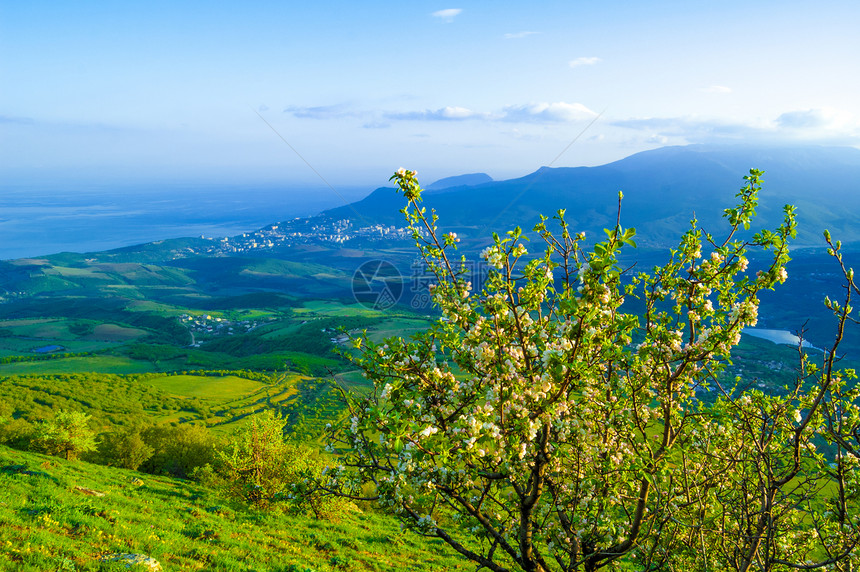 美丽的山地 阳光照耀天气全景场地草地土地国家农场岩石爬坡晴天图片