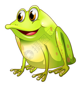 矮小绿色公牛蛙插画