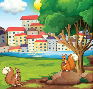 石头村村对面河岸两只松鼠插画