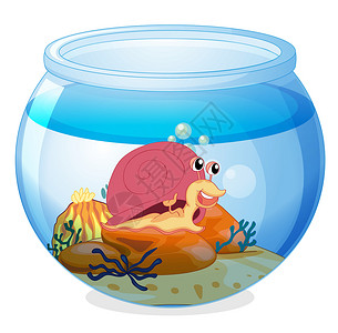 寄居蟹搬出水族馆里的蜗牛设计图片