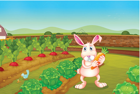 兔子在灌木丛一只兔子在花园边拿着胡萝卜插画