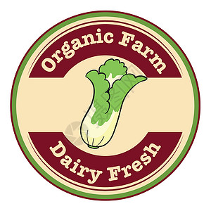 农产品标志有机农场和奶制品新鲜标志 配有卷心菜设计图片