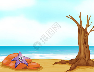 红紫色海星石头中的海星插画