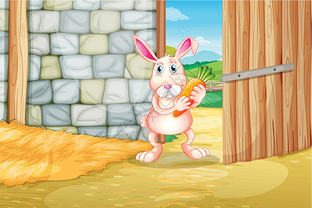 一只兔子在谷仓里拿着胡萝卜高清图片