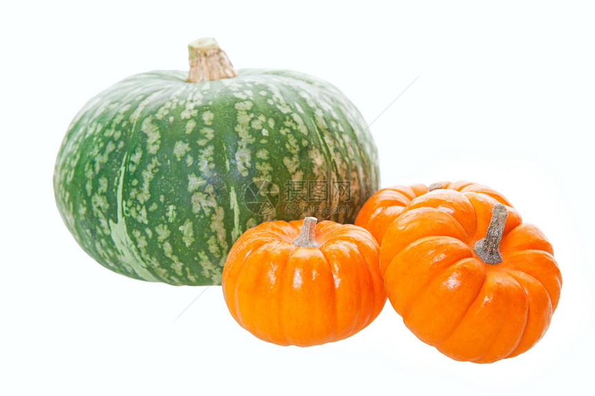 Pumpkins & Squash 组合和夸瓜图片