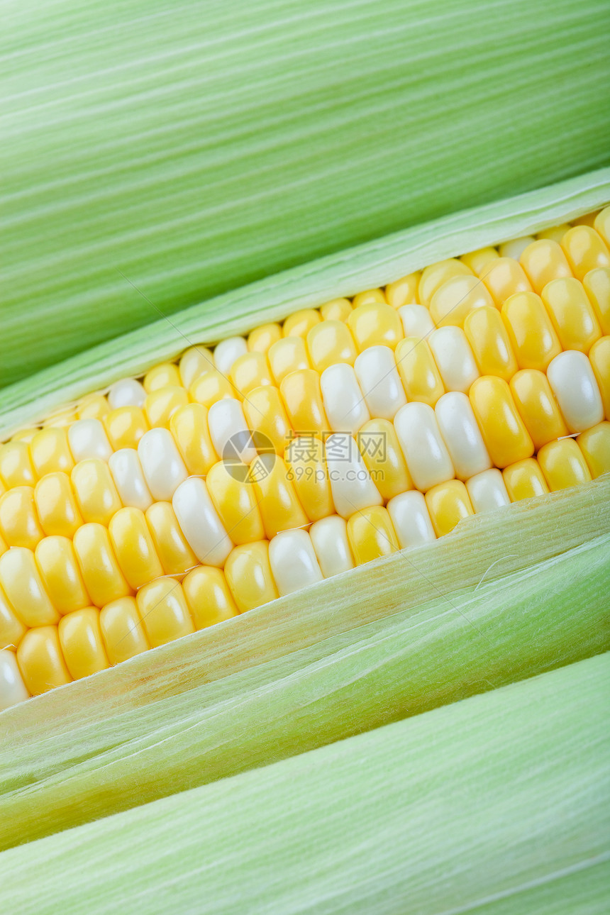 Corn 密闭图片