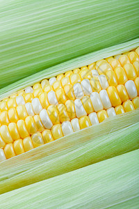 Corn 密闭高清图片