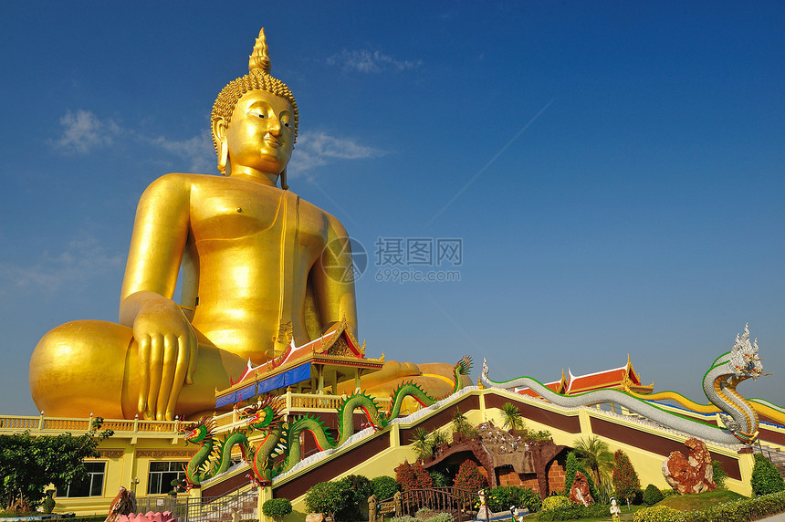 在泰国安东Wat Muang的金佛像场地宗教雕像佛教徒冥想天空旅游地标信仰雕塑图片