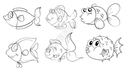 鱼素描不同的鱼在涂鸦设计中设计图片