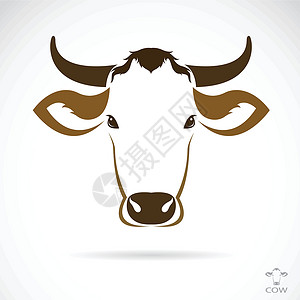 牛头肉牛头矢量图像牛肉农场艺术夹子牛奶插图眼睛乐趣草图动物插画