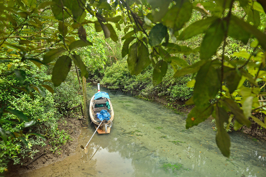 泰国克拉比红树林的长尾船海滩公园蓝色热带木头太阳照片日出航海绿色图片