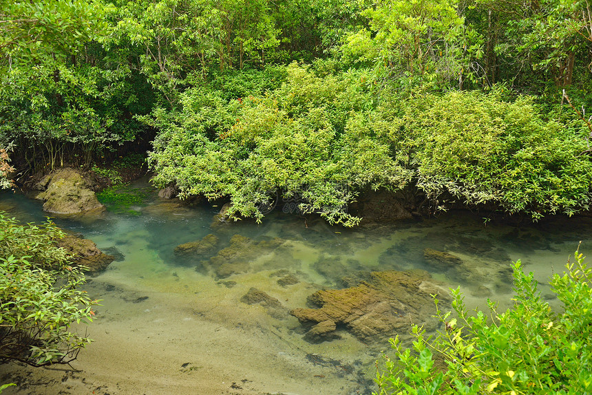 Tha Pom红树林森林 泰国克拉比热带太阳红树木头航海绿色海滩蓝色照片场景图片