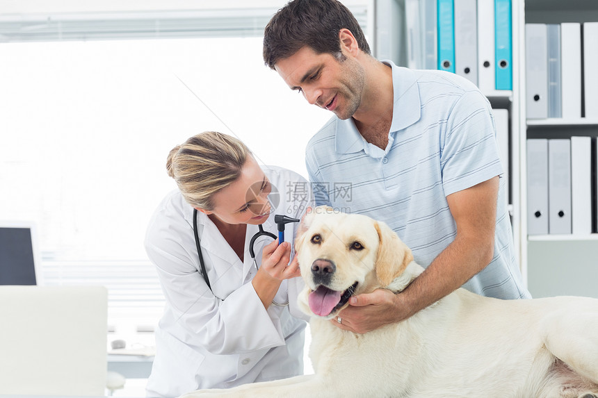 兽医检查狗耳朵与人一起女性兽耳动物办公室宠物职业器材主人医院关爱图片